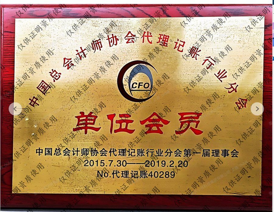 中国总会计师协会代理记账行业分会单位会员