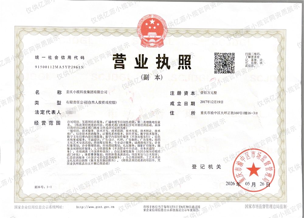 重庆小揽科技集团营业执照